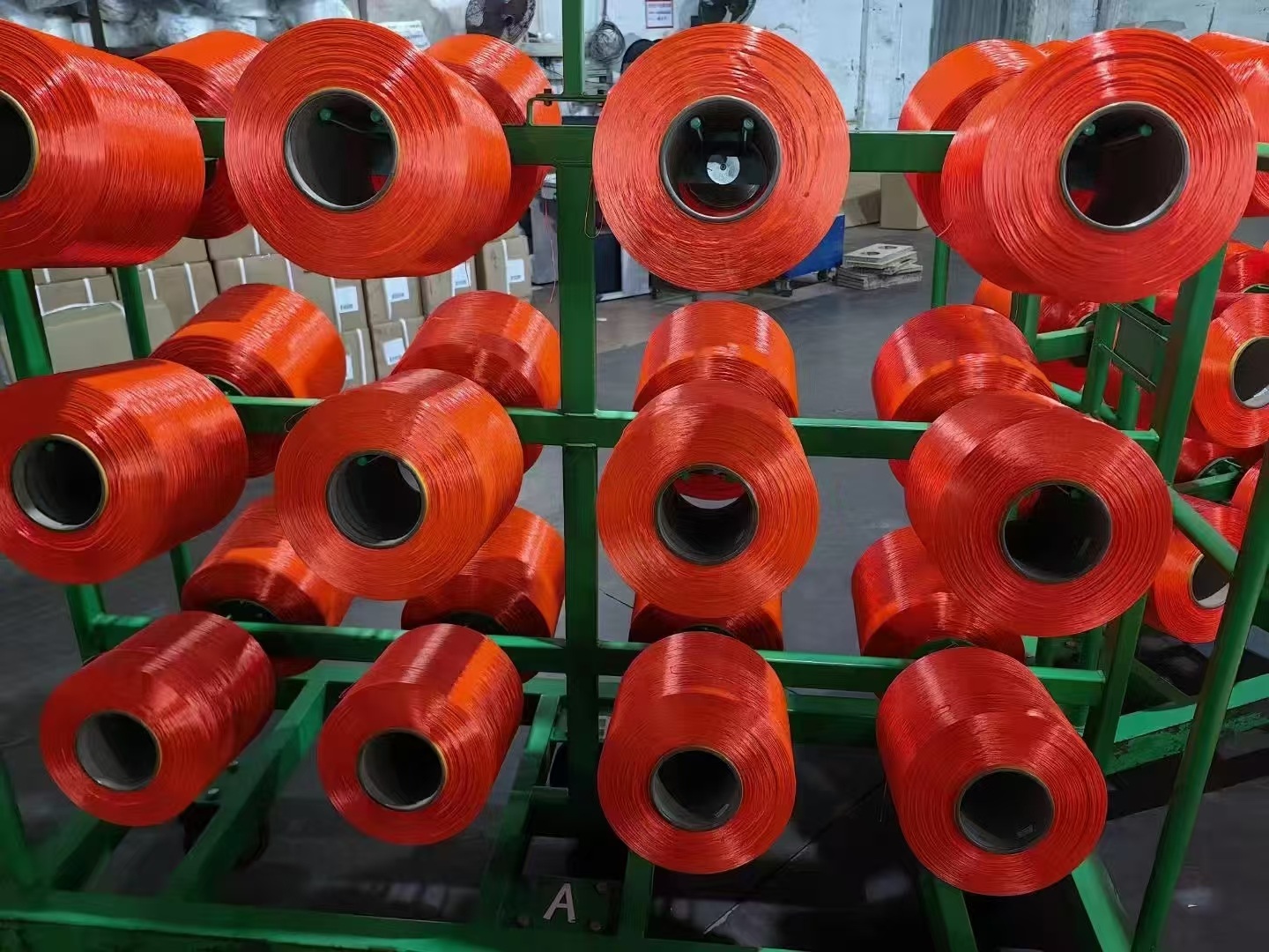 NYLON 6